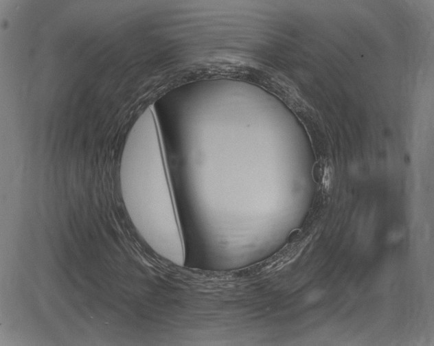 X0000082960771200702011112
