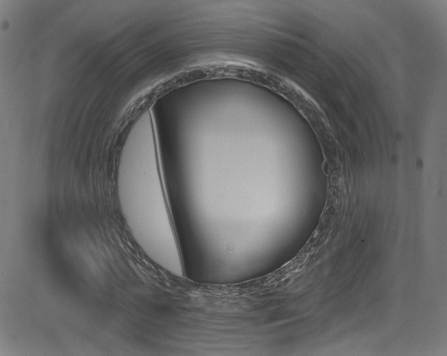 X0000082960775200702011112