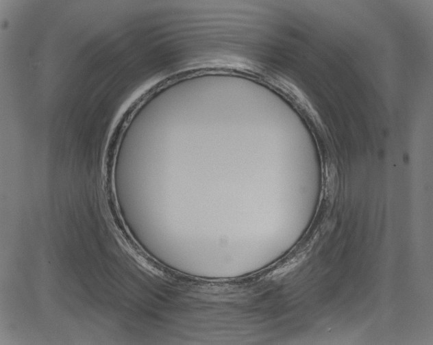 X0000082960780200702011112