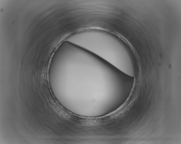 X0000082960785200702011111