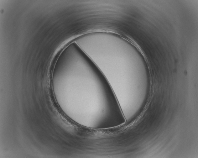 X0000082960787200702011111
