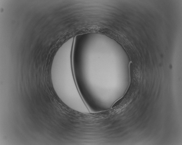 X0000082960818200702011110