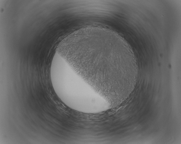 X0000082960819200702011110