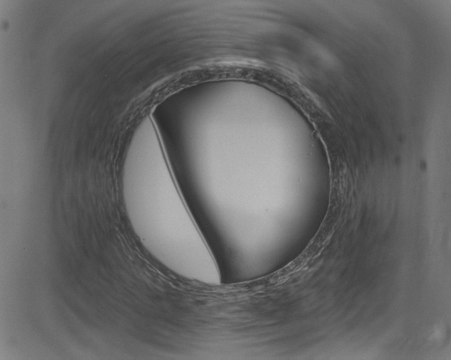 X0000082960821200702011110