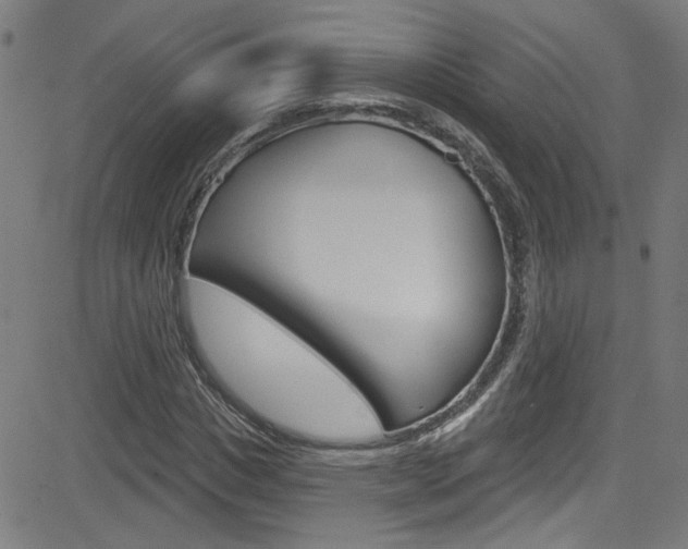 X0000082960825200702011110