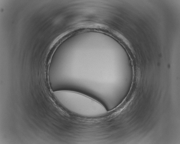 X0000082960829200702011110