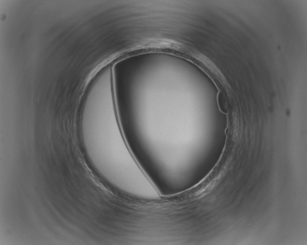 X0000082960834200702011110