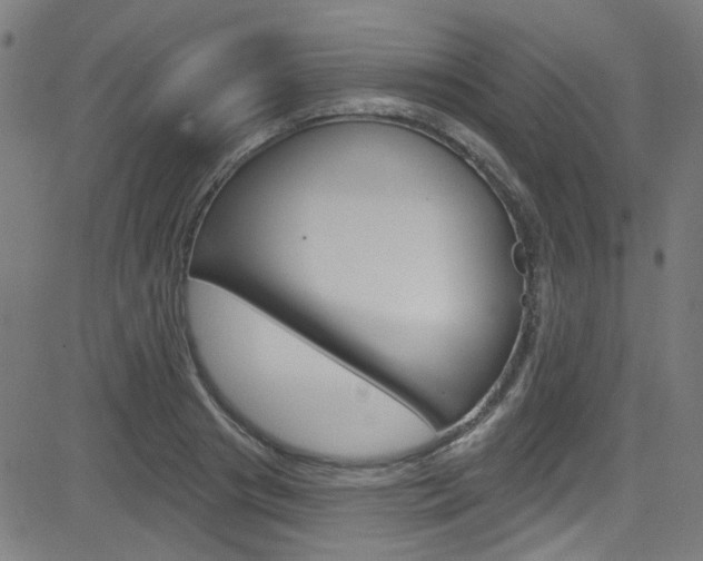 X0000082960841200702011111