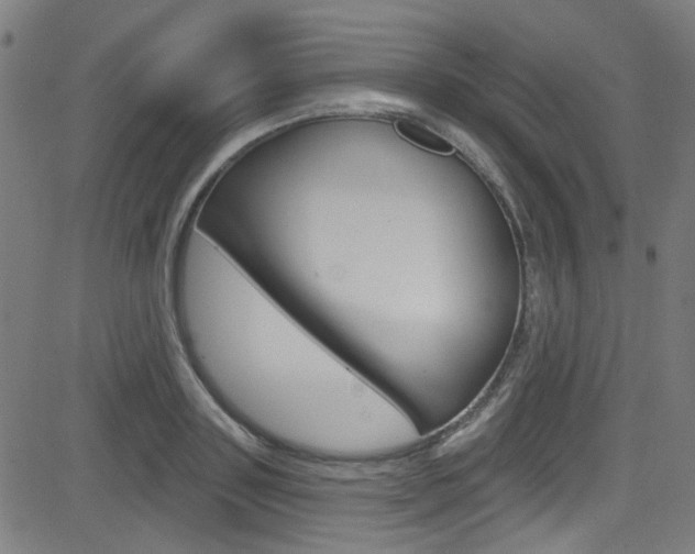 X0000082960843200702011111