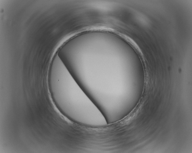 X0000082960847200702011111