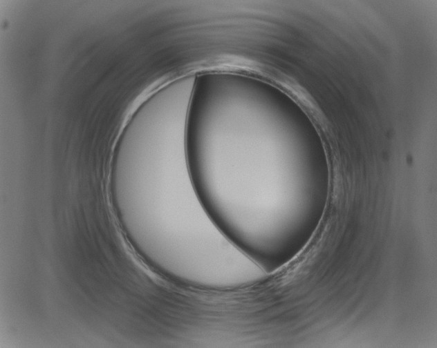 X0000082960850200702011111