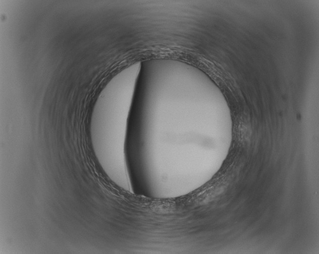 X0000082960865200702011110