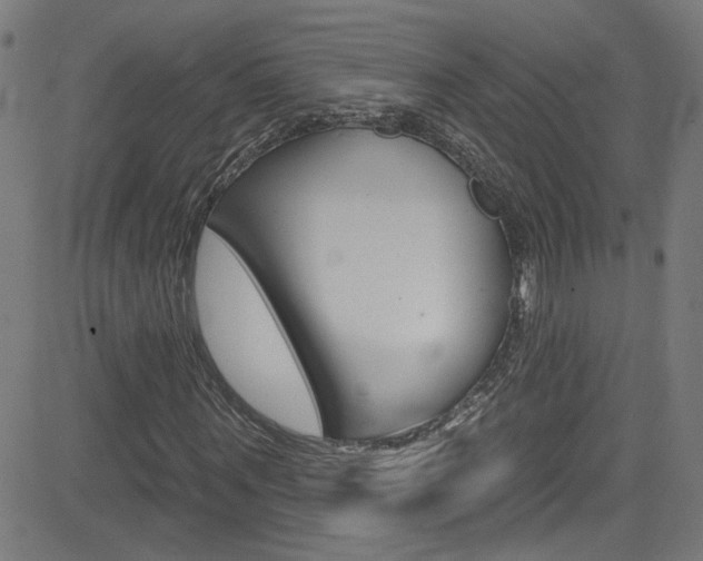X0000082960867200702011110