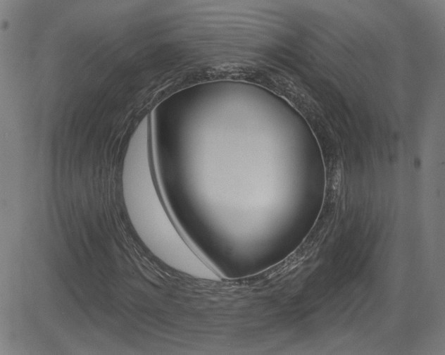 X0000082960868200702011110