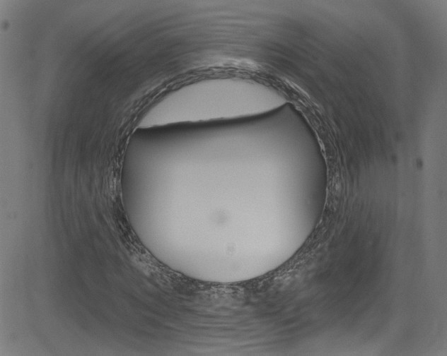 X0000082960869200702011110