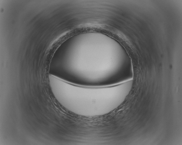 X0000082960872200702011110