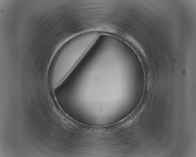 X0000082960876200702011110