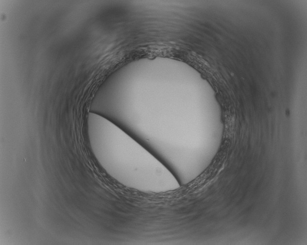 X0000082960913200702011109