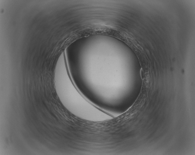 X0000082960916200702011109