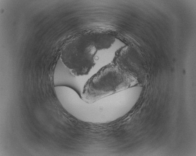 X0000082960917200702011109