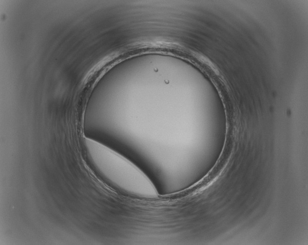 X0000082960922200702011109