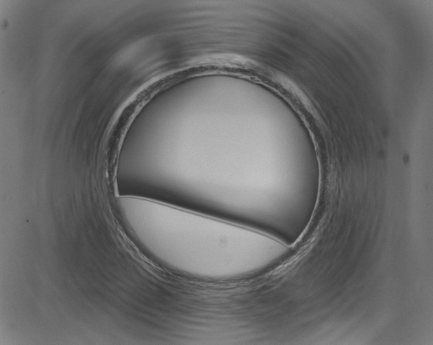 X0000082960923200702011109