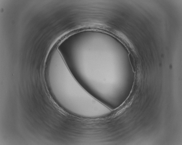 X0000082960924200702011109