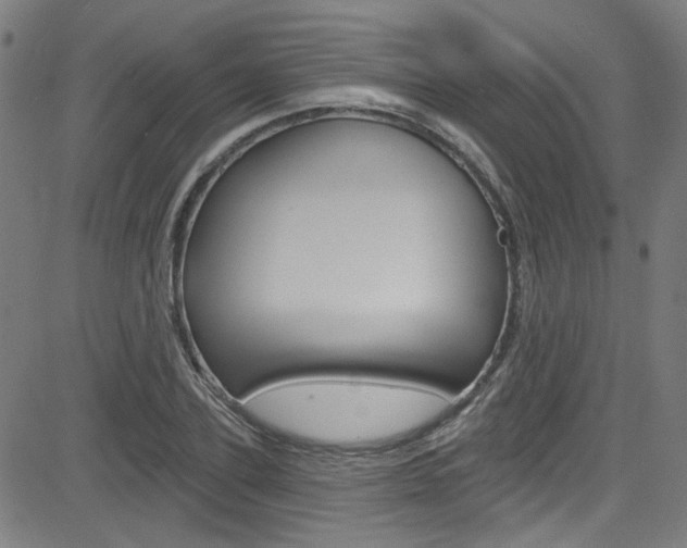 X0000082960931200702011109
