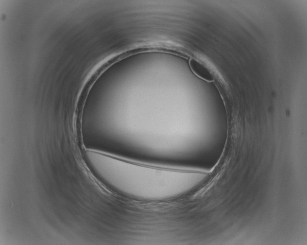 X0000082960932200702011109