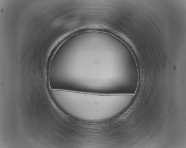 X0000082960935200702011109