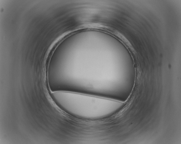 X0000082960939200702011109