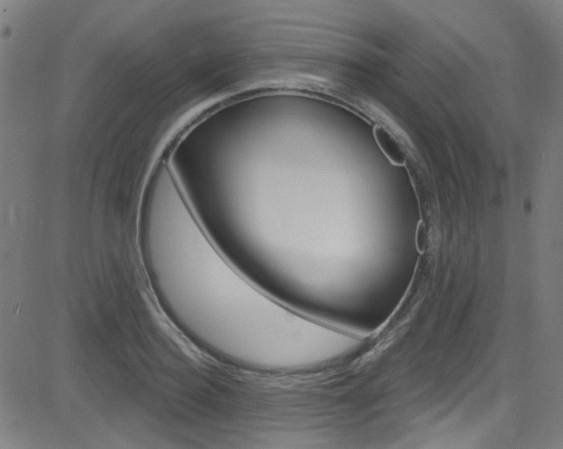 X0000082960940200702011109