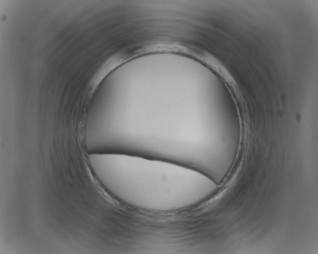 X0000082960953200702011109