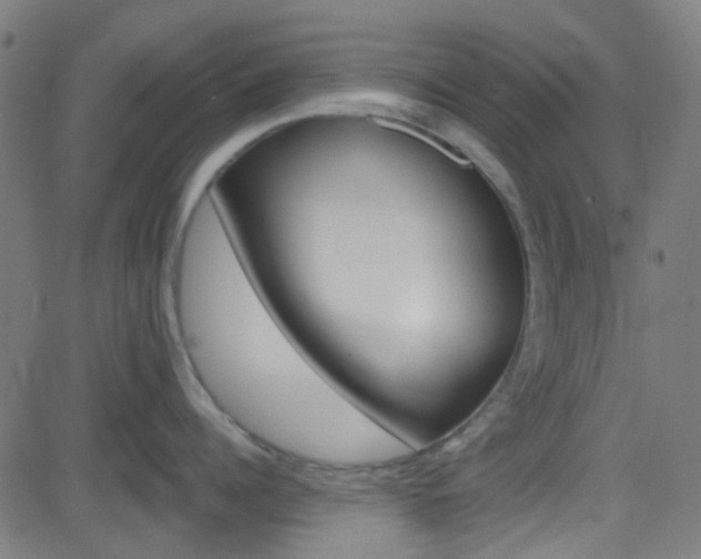 X0000082960960200702011109