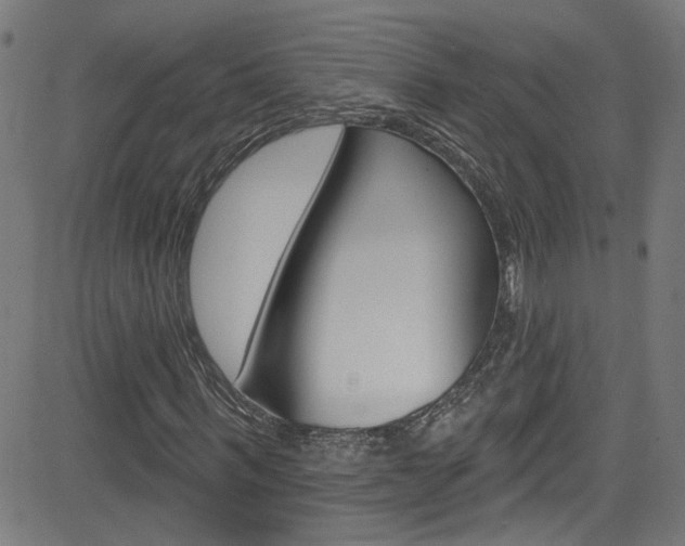 X0000082960963200702011109