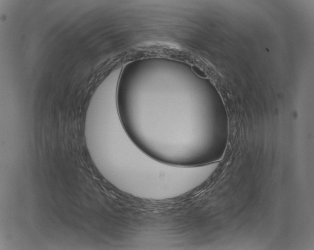 X0000082960965200702011109