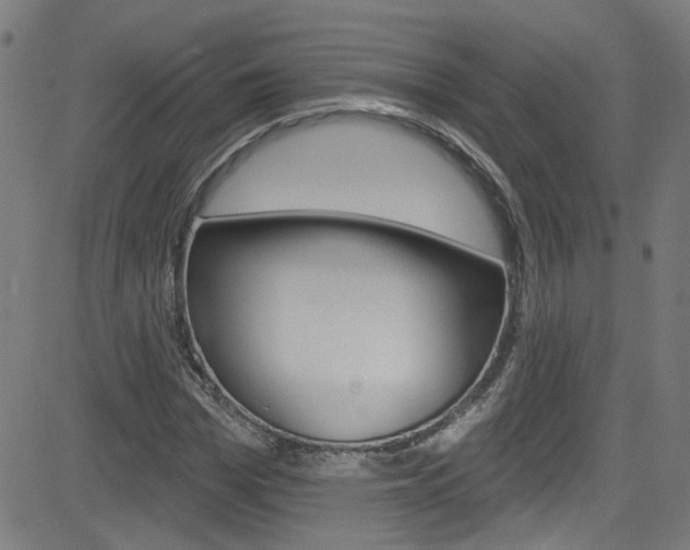 X0000082960969200702011109