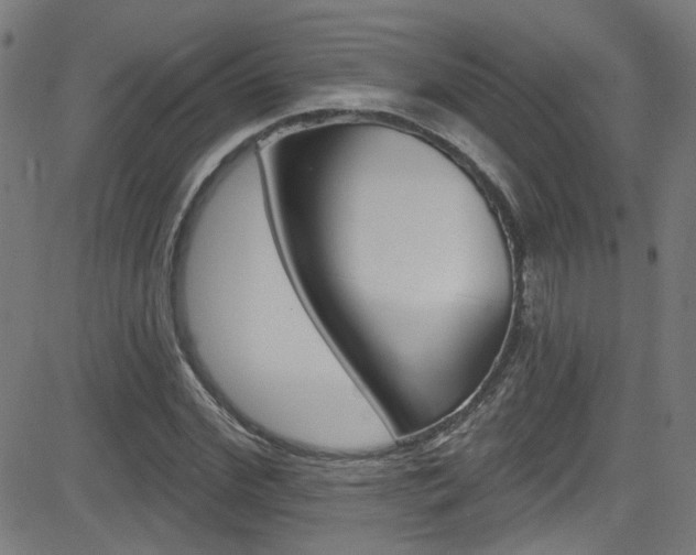 X0000082960972200702011108