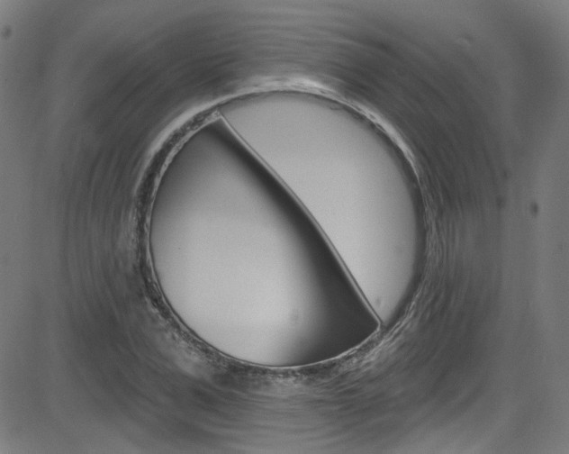 X0000082960975200702011108