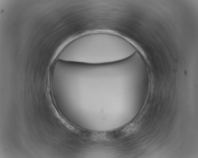 X0000082961006200702011108