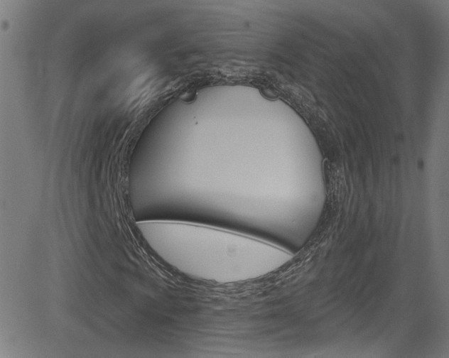 X0000082961009200702011107