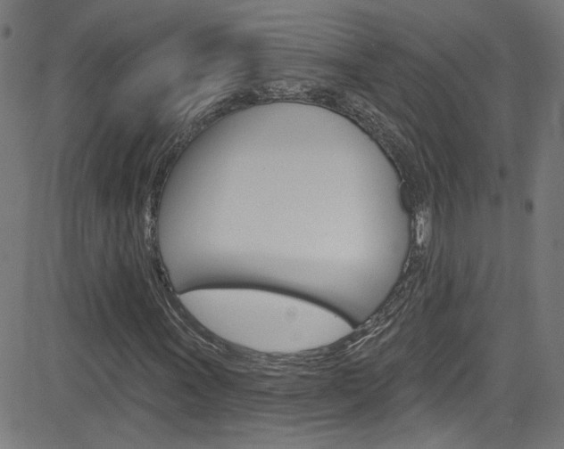 X0000082961011200702011107