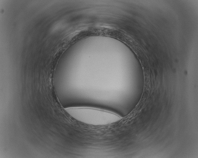 X0000082961013200702011107
