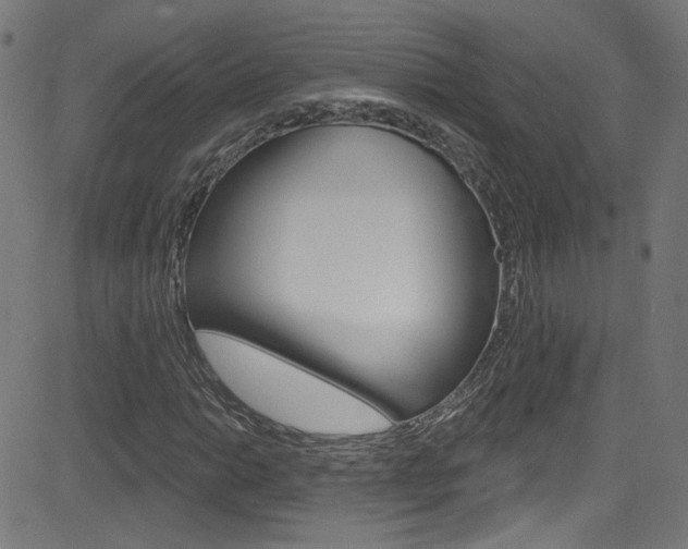 X0000082961014200702011107