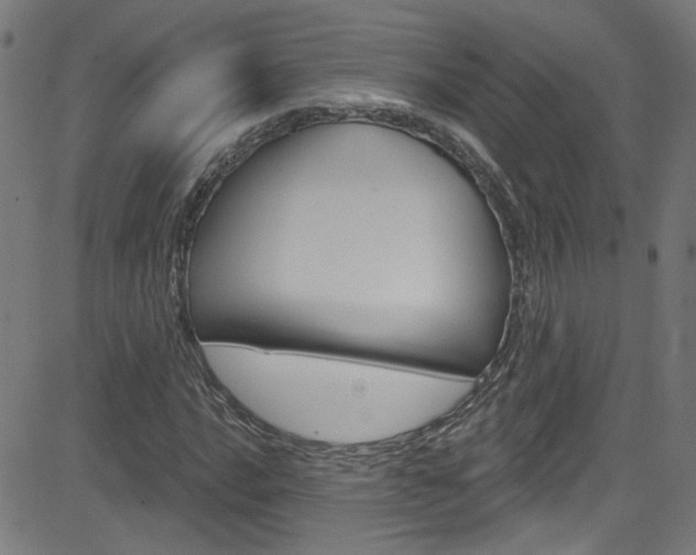 X0000082961016200702011107