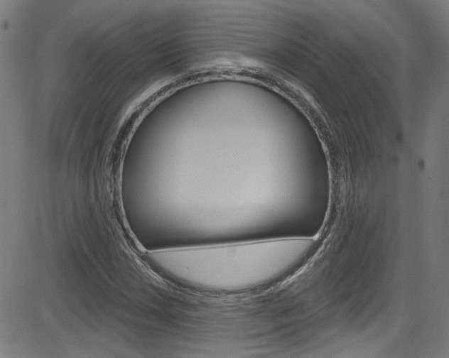 X0000082961018200702011107