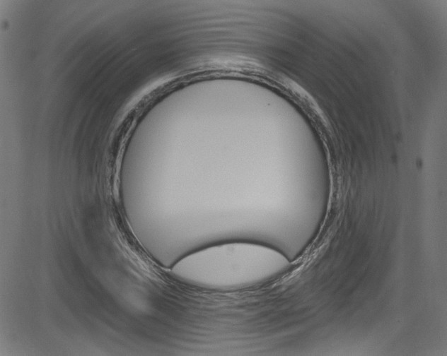 X0000082961019200702011107