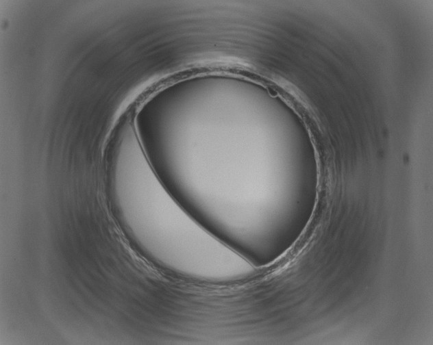 X0000082961022200702011107