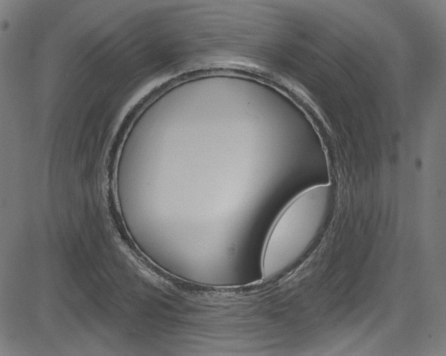X0000082961024200702011107