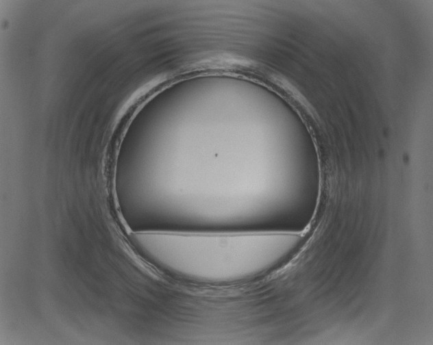 X0000082961026200702011107